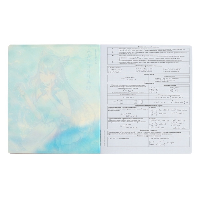 Тетрадь предметная АЛГЕБРА, 48 листов в клетку, ErichKrause Manga, обложка мелованный картон, твин-лак, блок офсет 100% белизна, инфо-блок