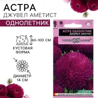 Семена цветов Астра игольчато-коготковая &laquo;Джувел Аметист&raquo;, однолетняя, 0.05 г, &laquo;Гавриш&raquo;