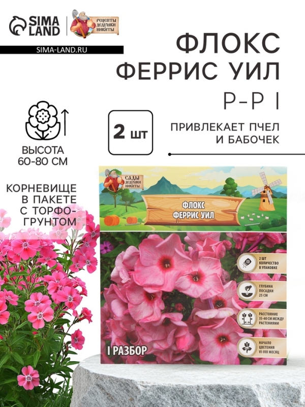 Флокс «Феррис Уил» корневище в пакете с торфогрунтом, р-р I, 2 шт.