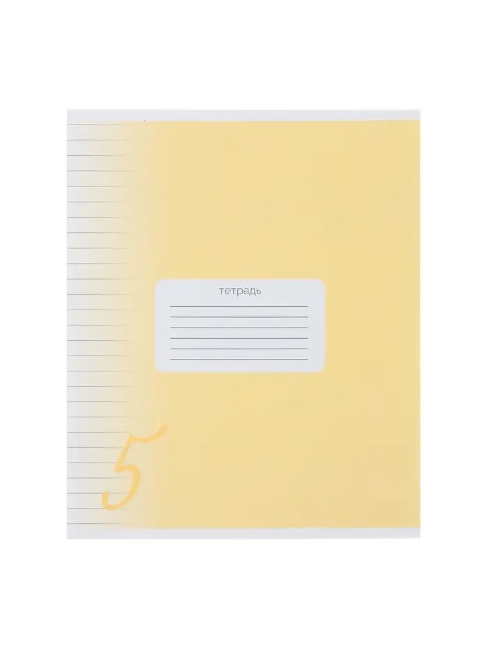 Комплект тетрадей из 10 штук, 24 листа в линию Calligrata "Пятёрка", обложка мелованный картон, ВД-лак, блок офсет, 5 видов по 2 штуки