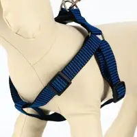 Шлейка с поводком, рельефная, поводок 120&times;2 см, ОГ 44-50 см, синяя, чёрная