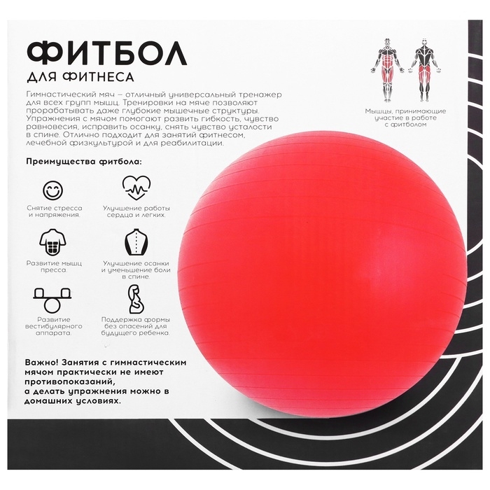 Фитбол ONLYTOP, d=85 см, 1400 г, антивзрыв, цвет фиолетовый Фитбол ONLYTOP, d=85 см, 1400 г, антивзрыв, цвет фиолетовый