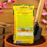 Набор семян Немезия "Звездный путь", смесь окрасок, О, 5 шт.