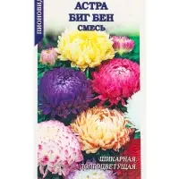 Семена Астра Биг Бен смесь /Сотка/ 0,2г/ пион. h-65см, d-10см/*1500 Семена Астра Биг Бен смесь /Сотка/ 0,2г/ пион. h-65см, d-10см/*1500