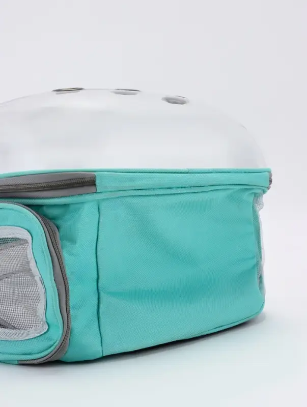 Рюкзак для переноски животных прозрачный, 31 х 28 х 42 см, бирюзовый Рюкзак для переноски животных прозрачный, 31 х 28 х 42 см, бирюзовый