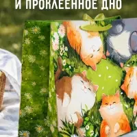 Пакет подарочный Happy birtday, XL, 49&times;40&times;19 см