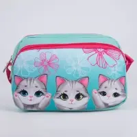 Сумка детская текстильная «Котята», 2 кармана, 22×14×6 см