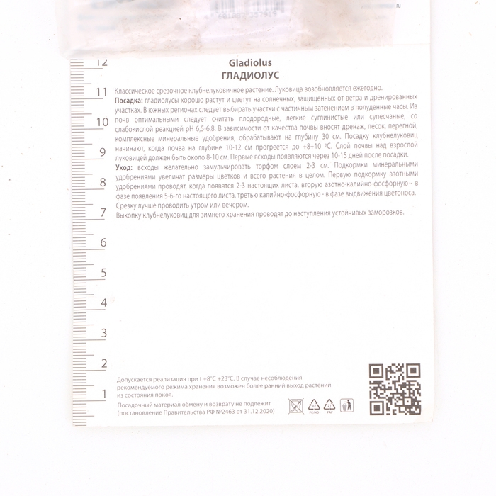 Гладиолус крупноцветковый «Эмбер Мистик», луковица цветов в пакете с перфорацией, р-р 10/12, 10 шт.