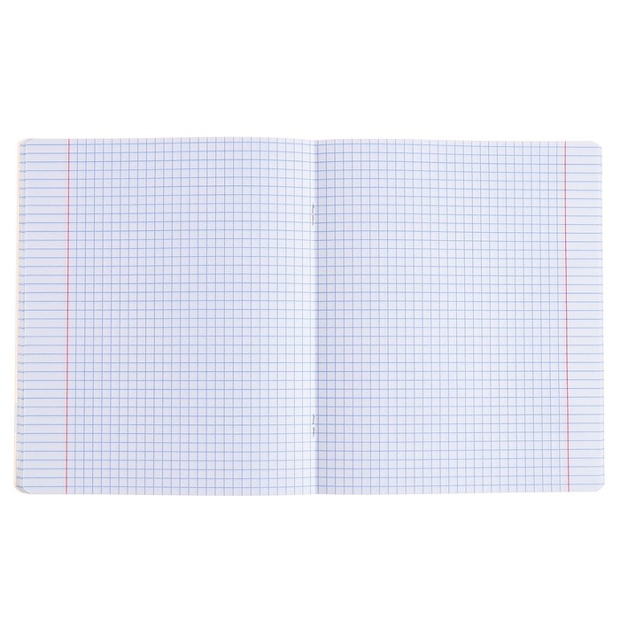 Тетрадь предметная ИНФОРМАТИКА, 48 листов в клетку, ErichKrause Be Informed, пластиковая обложка, шелкография, блок офсет 100% белизна, инфо-блок