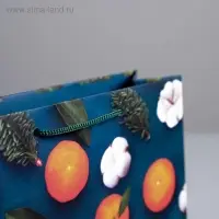Пакет подарочный новогодний ламинированный «Счастья в Новом году», ML 23 x 27 х 8 см