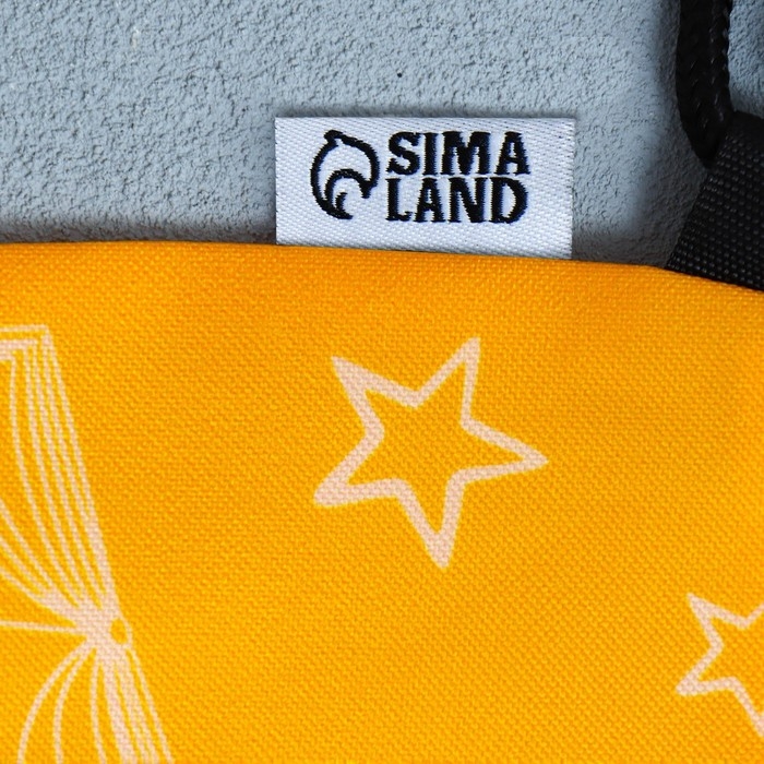 Мешок для обуви «Учусь на 5!» 2 секции, 30 х 40 см