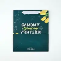 Набор пакет и открытка "Самому лучшему учителю"