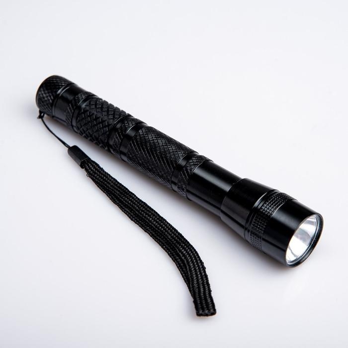 Фонарь ручной, 2 АА, 15.5 х 2.5 см Фонарь ручной, 2 АА, 15.5 х 2.5 см