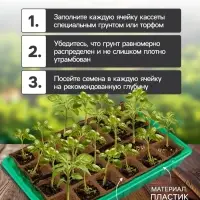 Набор для рассады: торфяная кассета, 24 ячейки по 50 мл, поддон 31&times;20 см, зелёный, пластик, Экоторф