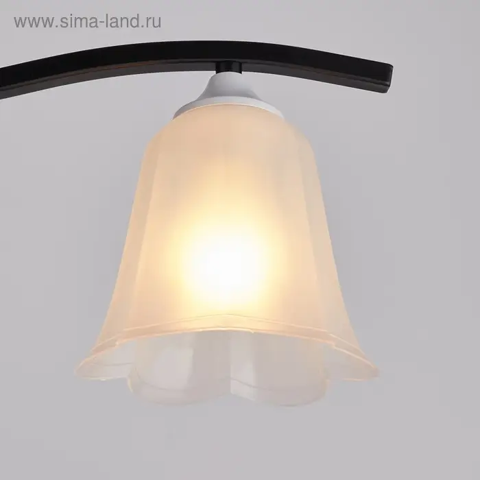 Плафон универсальный &laquo;Цветок&raquo; Е14/Е27 прозрачный 14&times;14&times;13 см