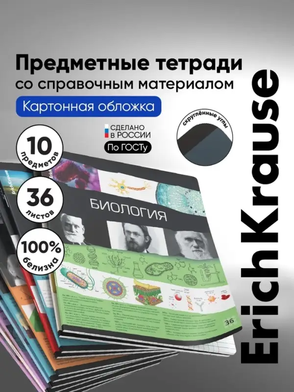 Предметная тетрадь по алгебре ErichKrause. Timeline, 36 листов, в клетку, со справочным материалом, обложка из мелованного картона