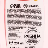 Подарочный набор детский &laquo;Самой лучшей девочке&raquo;, пена для ванны и шампунь для волос, 2&times;250 мл, Чистое счастье