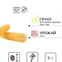 Семена Кукуруза &laquo;Сахарный Гигант&raquo;, 5 г, &laquo;Уральский Дачник&raquo;