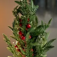 Фигура светодиодная "Сказочное сияние" 40 см, 20 LED, AG13х3 (в компл.), Т/БЕЛЫЙ