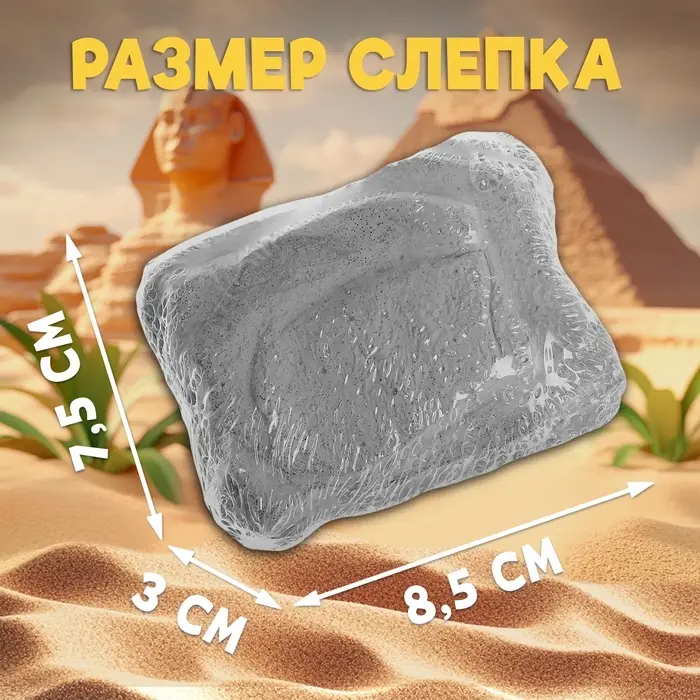 Раскопки &laquo;Сокровища Египта&raquo;