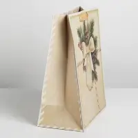 Пакет подарочный новогодний крафтовый «Поздравляю с Новым годом!», ML 23 х 27 х 8 см Пакет подарочный новогодний крафтовый «Поздравляю с Новым годом!», ML 23 х 27 х 8 см