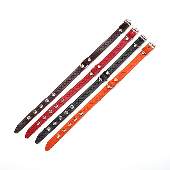 Ошейник кожаный однослойный неукрашенный, 1,2 см, ОШ 20-26 см, микс цветов и видов Ошейник кожаный однослойный неукрашенный, 1,2 см, ОШ 20-26 см, микс цветов и видов