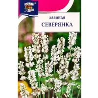 Семена цветов Лаванда СЕВЕРЯНКА  5 шт.
