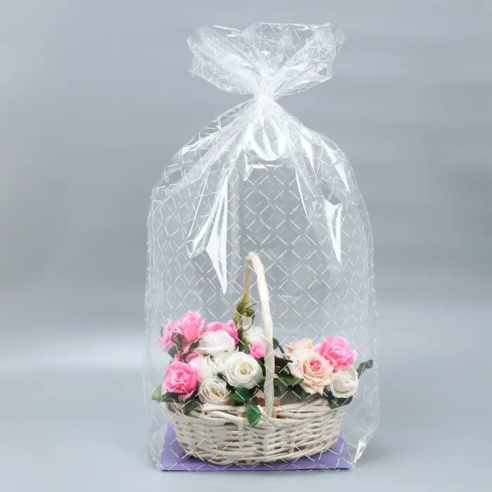 Пакет подарочный с жёстким дном, упаковка, &laquo;Линии&raquo;, 22 х 28 х 80 см