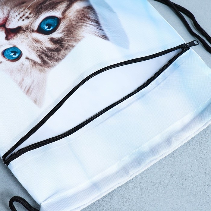 Мешок для обуви «Милый котик» 2 секции, 30×40 см Мешок для обуви «Милый котик» 2 секции, 30×40 см