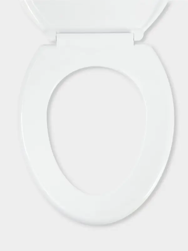 Сиденье для унитаза с крышкой &laquo;Декор. Сакура&raquo;, 44.5&times;37 см, белое