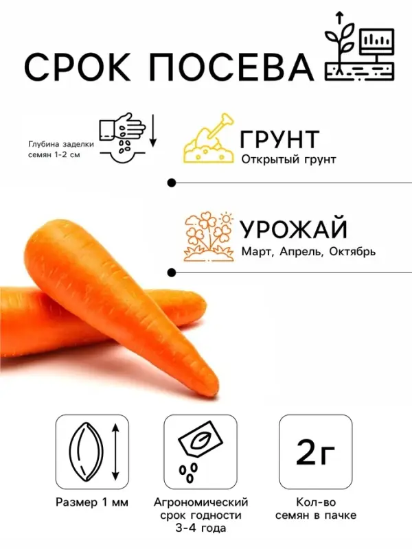 Семена Морковь &laquo;Королева осени&raquo;, 2 г, &laquo;Сембат&raquo;