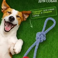 Игрушка канатная &laquo;Массажная&raquo;, с узлом, до 65 г, до 30 см, цвет МИКС