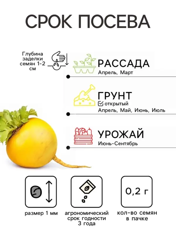 Семена Репа "Петровская 1", ц/п,  0,2  г  серия ХИТ х3