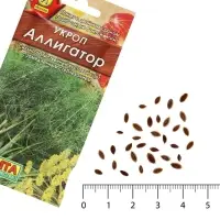 Семена Укроп "Аллигатор",  3г