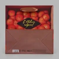 Пакет подарочный &laquo;С Новым годом&raquo;, мандарины, 22&times;22&times;11 см
