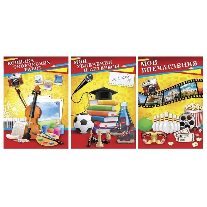 Папка школьная на кольцах «Портфолио школьника», 6 листов-разделителей, 24,5 х 32 см.