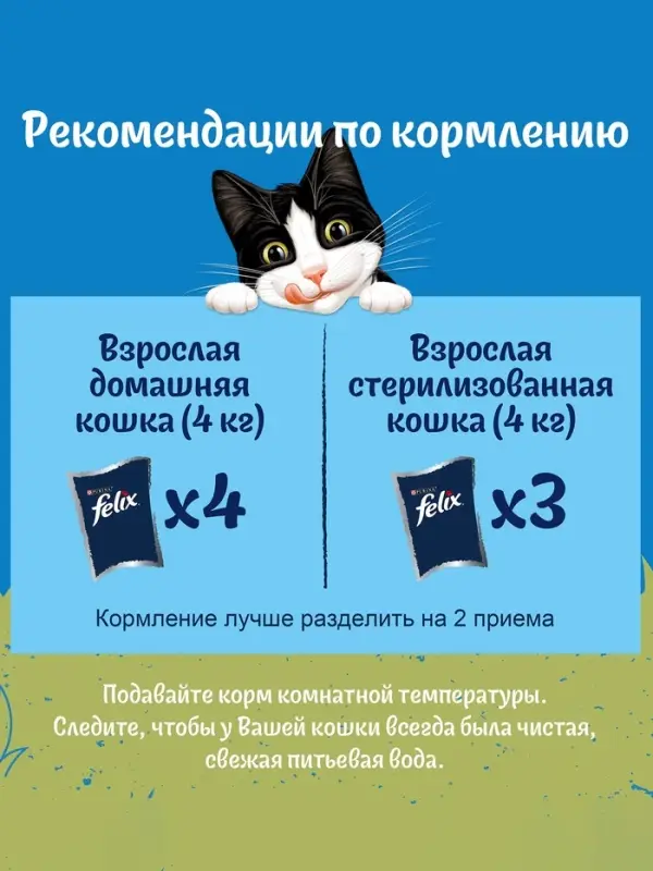 Влажный корм Felix Природа вкуса для кошек, лосось, 75 г