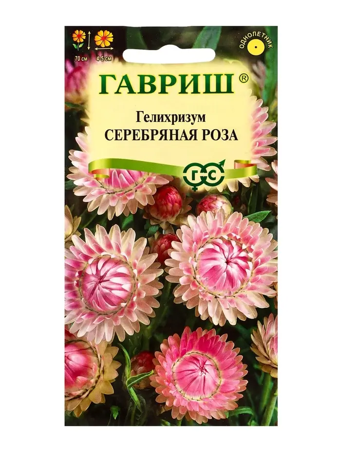 Семена цветов Гелихризум Серебряная роза* 0,01 г DH