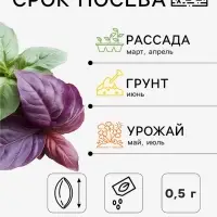 Семена Базилик &laquo;Ароматы Востока&raquo;, смесь, 0.5 г, фиолетовый + зелёный, &laquo;Золотая Сотка Алтая&raquo;