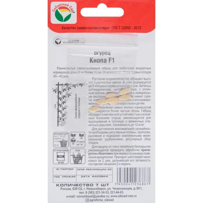 Семена Огурец "Кнопа" F1, раннеспелый, партенокарпический, 7 шт