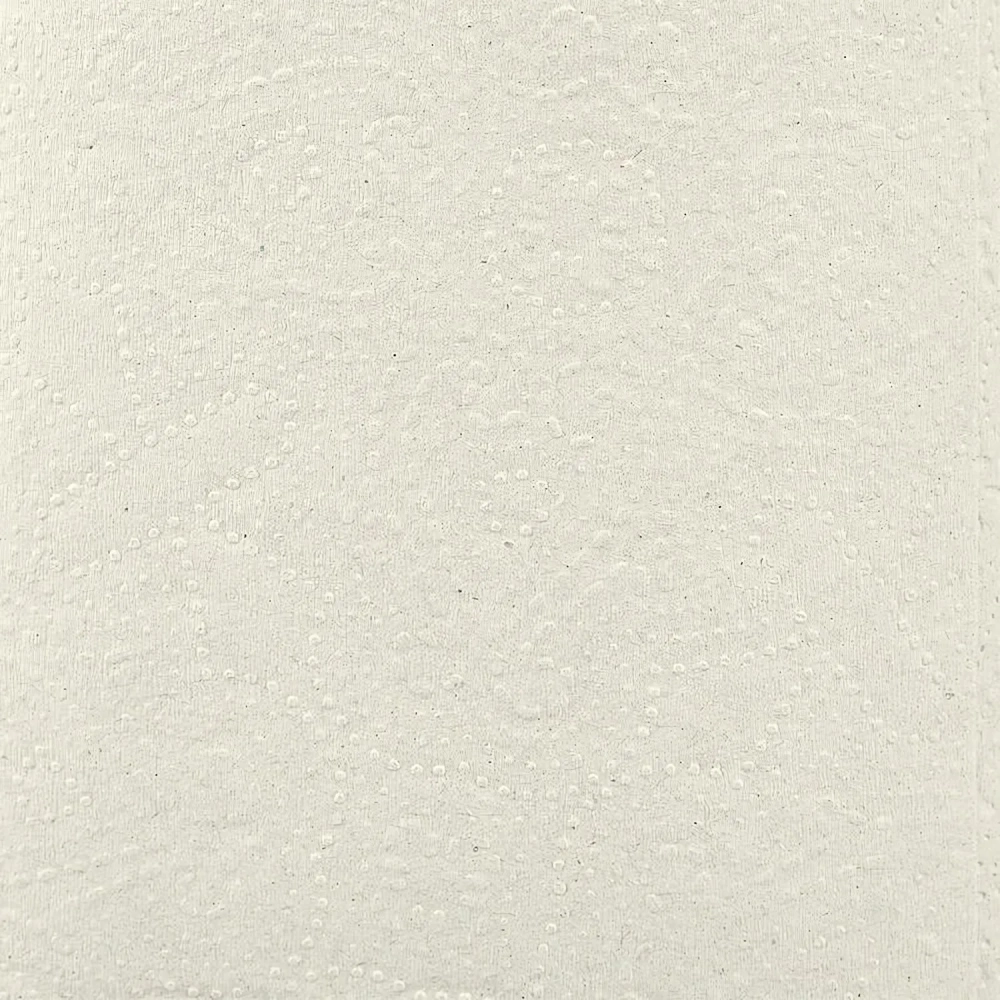 Полотенца бумажные д/дисп. Luscan Professional Vсл1слвт200л20пач/уп