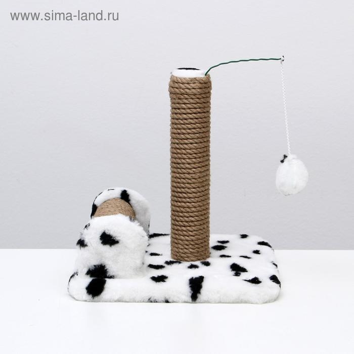 Когтеточка двойная для котят на подставке, джут, 30 х 28 х 32 см, далматинец Когтеточка двойная для котят на подставке, джут, 30 х 28 х 32 см, далматинец