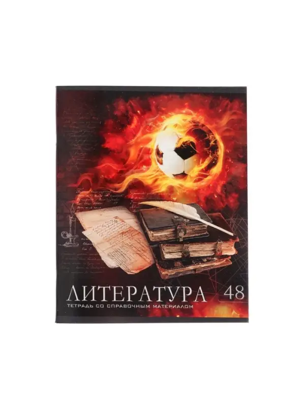 Предметная тетрадь по литературе Calligrata &laquo;Футбол&raquo;, 48 листов, в линейку, со справочным материалом, обложка из мелованного картона
