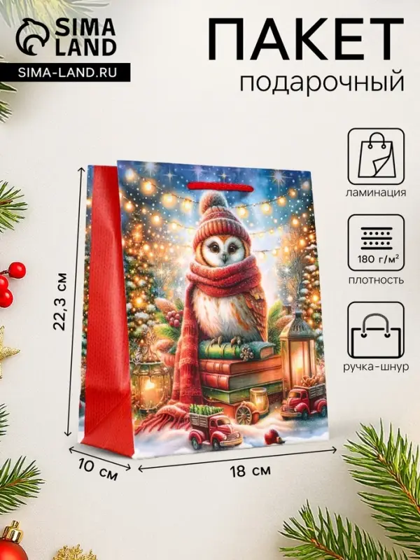 Пакет подарочный новогодний ламинированный, &laquo;Сова&raquo;, 18&times;10&times;22.3 см