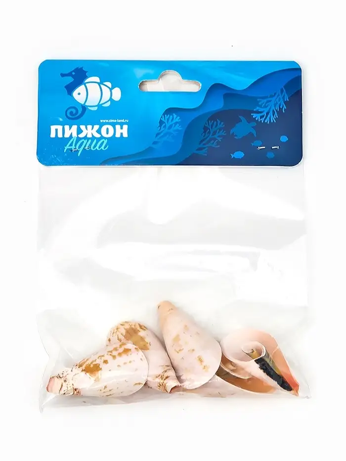Набор ракушек декоративных, длина 4 см, 5 шт