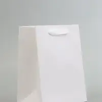 Пакет подарочный, с окном, 20&times;15&times;10 см, белый
