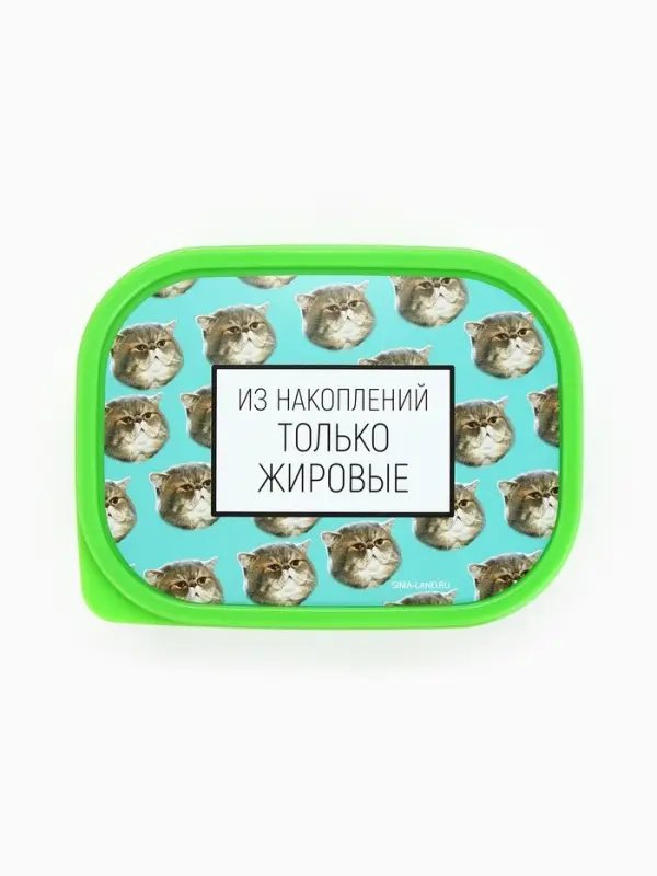 Ланч - бокс прямоугольный &laquo;Накопления&raquo;, 500 мл