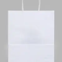 Пакет подарочный крафт &laquo;Дед Мороз&raquo;, 22&times;12&times;28 см