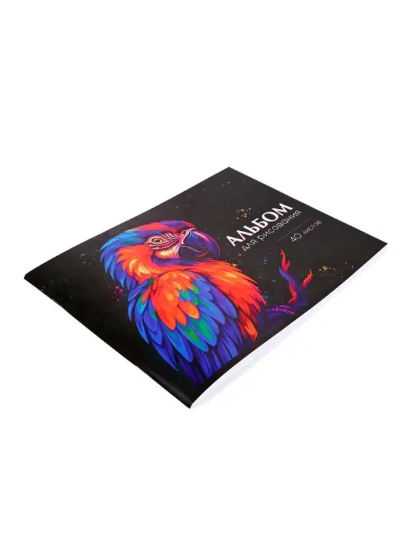 Альбом для рисования Calligrata, А4, 40 листов на скрепке, МИКС