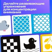 Развивающий набор &laquo;Мои первые картинки&raquo;, 80 карточек, 0+